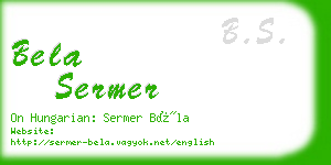 bela sermer business card